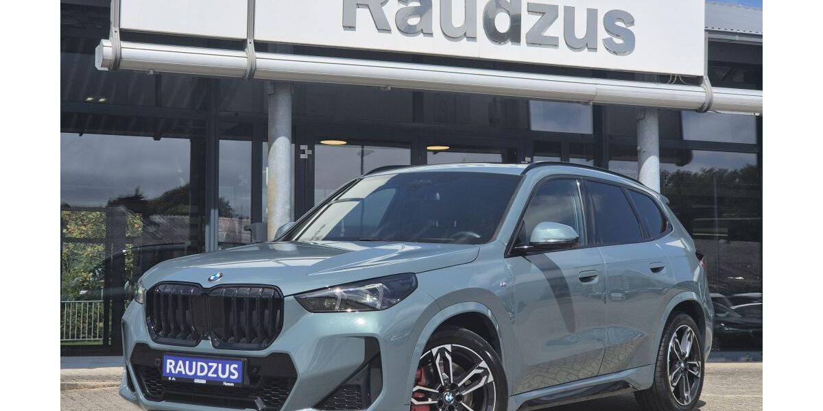 BMW X1 61.000 km 39.990 &euro; Husum 25813