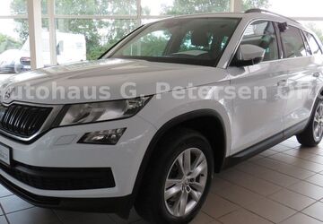 Skoda Kodiaq 173.500 km 15.900 &euro; Silberstedt 24887